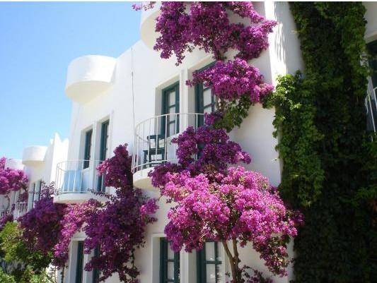 Safir Hotel Bitez Exterior foto